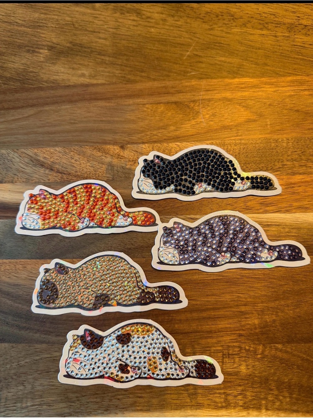 Sparkly Cat Refrigerator Magnets